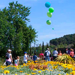Jardí Botànic, Festa del jardí!