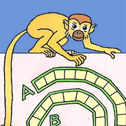 Els jocs dels micos