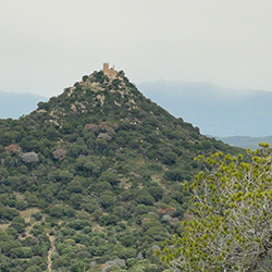 El castell de Burriac